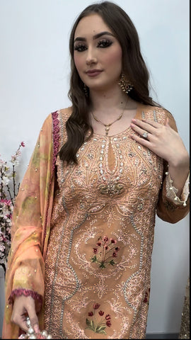 Mushq Kahani - Peach Outfit - Cotton Net - Party Wear