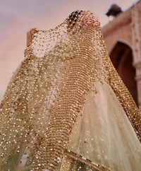 (Preorder 3/4weeks) Party Posheeda Sheesh Dupatta - Poshida Mirror Dupata -