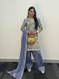 Armani Farshi - Blue