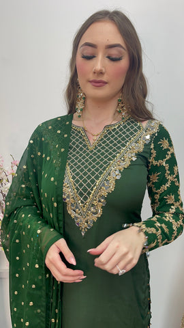 Afsana - Handwork - Party Wear - Green -