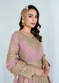 Noor Begum Gown - O