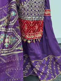 Shagun - Sharara Maxi - Maria B inspired