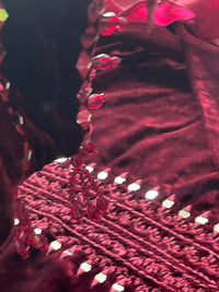 “Wine B” Sheesha X Velvet Maroon Plachi Daman with silk dupatta winter - Rang de Boutique