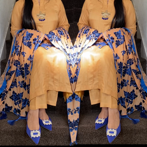 Royal Plachi velvet shawl with plain suit - Rang de Boutique