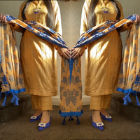 Royal Plachi velvet shawl with plain suit - Rang de Boutique