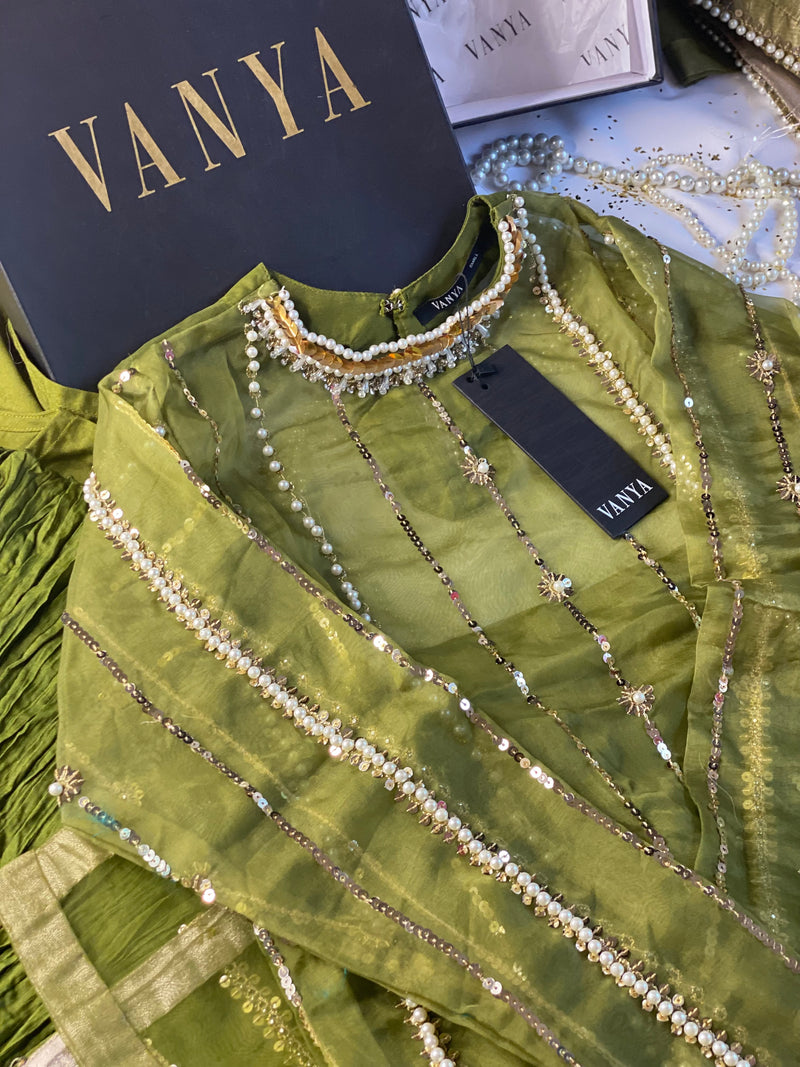 Original Vanya Apple Green sharara Outfit - Rang de Boutique